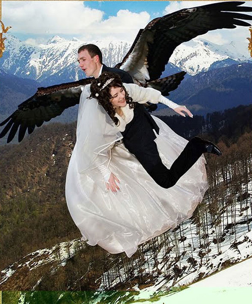 Funny-Wedding-Pictures-Vulture-Russian.jpg