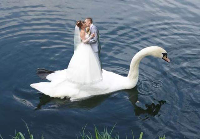 14 Funny Wedding Photos Of Ceremonial Madness Team Jimmy Joe