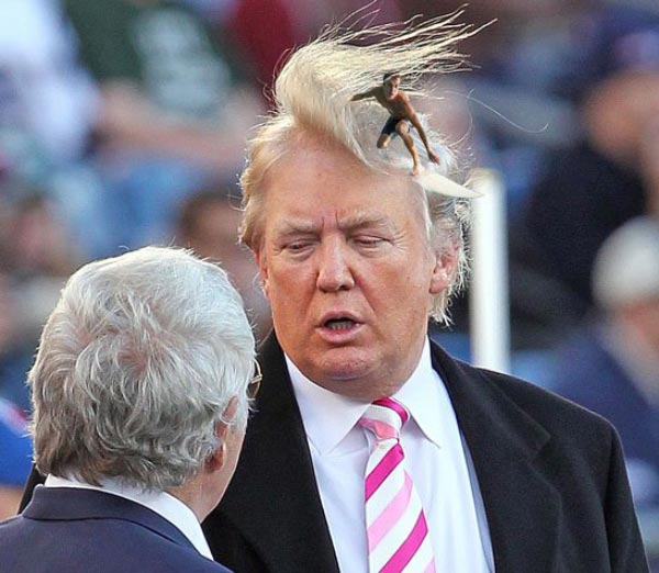 Image result for trump  hair wave