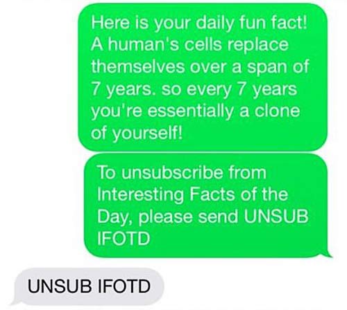 auto text spammer