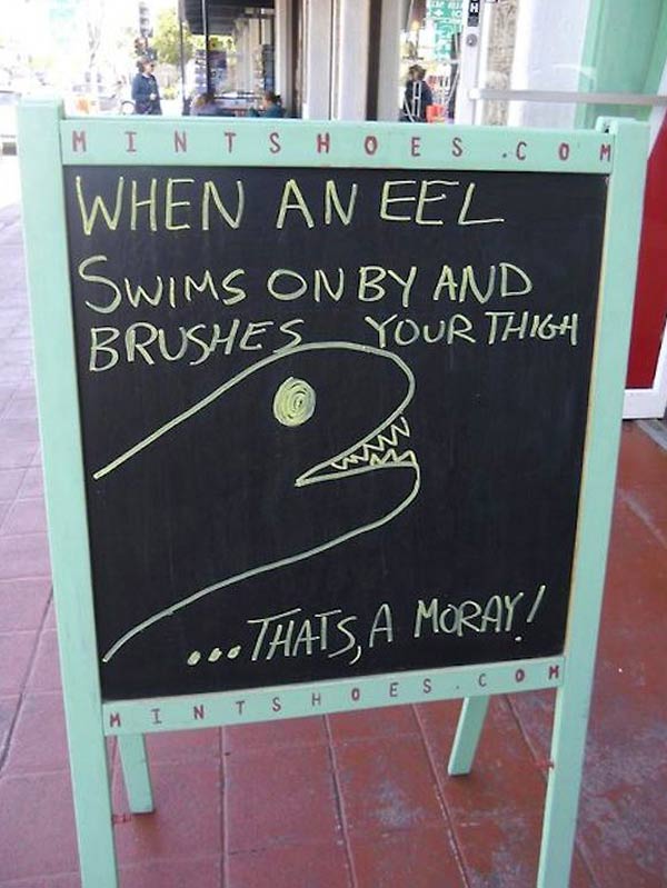 29 Funny Sidewalk Signs That Chalk Up the Humor | Team Jimmy Joe