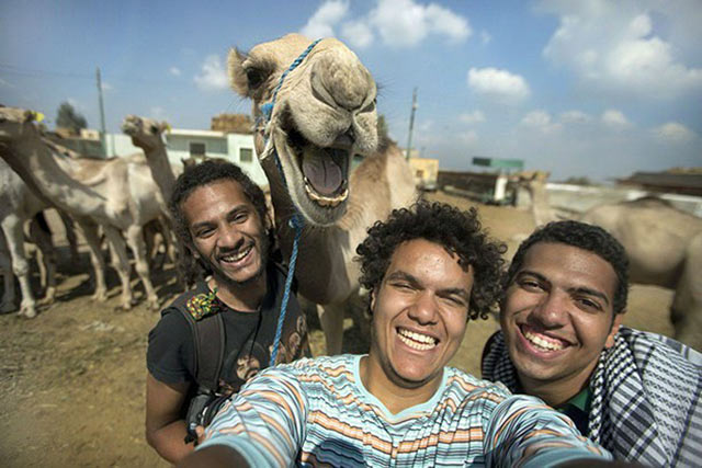 https://teamjimmyjoe.com/wp-content/uploads/2016/11/camel-photobomb-animals-better-looking.jpg