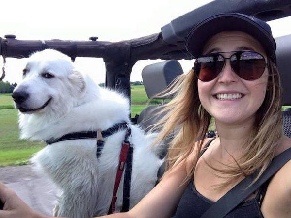 https://teamjimmyjoe.com/wp-content/uploads/2016/11/good-looking-dog-jeep-cool.jpg