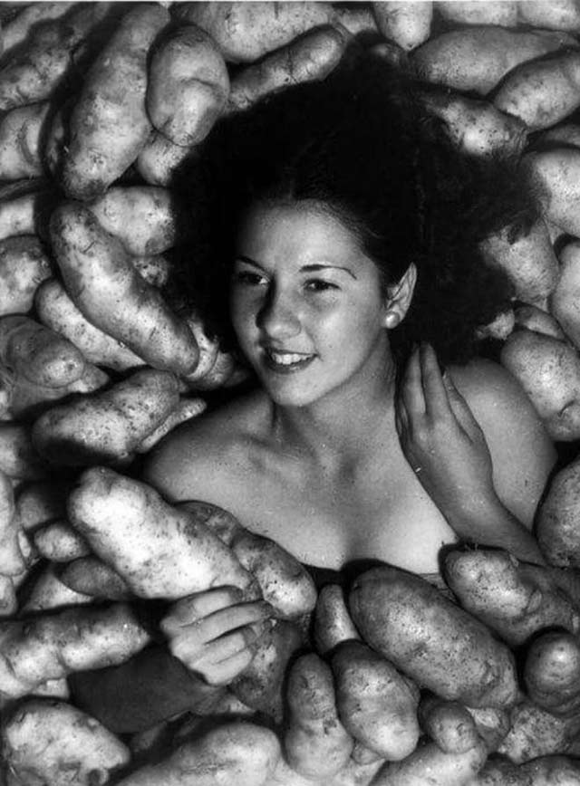 in 1954, one dollar would get you 24 pounds of potatoes