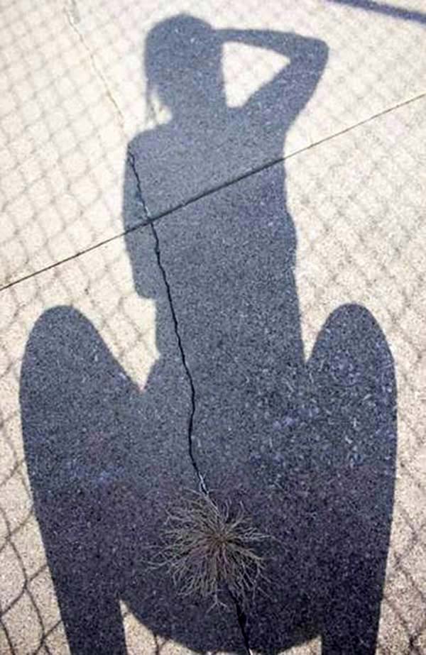 [Image: funny-shadow-woman-bush.jpg]