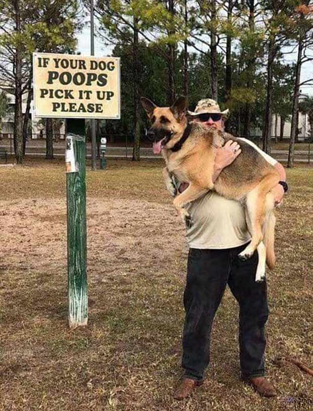 funny-signs-dog-poops-pick-up.jpg