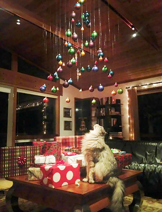 21 Brilliant Hacks to Protect Your Christmas Tree From Pets Team