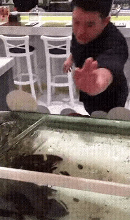 funny-gifs-lobster-high-five.gif