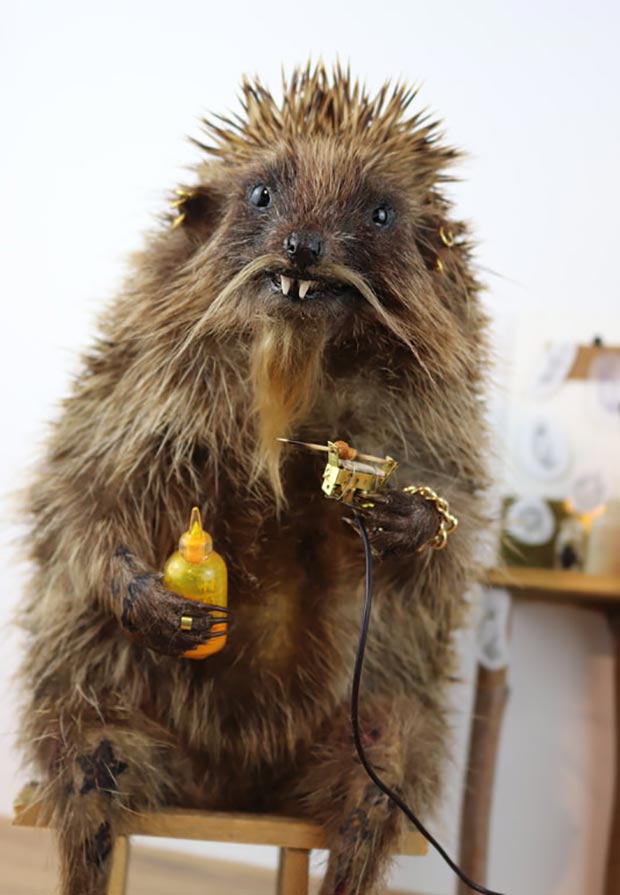 Hilarious Bad Taxidermy by artist Adele Morse  Team Jimmy Joe