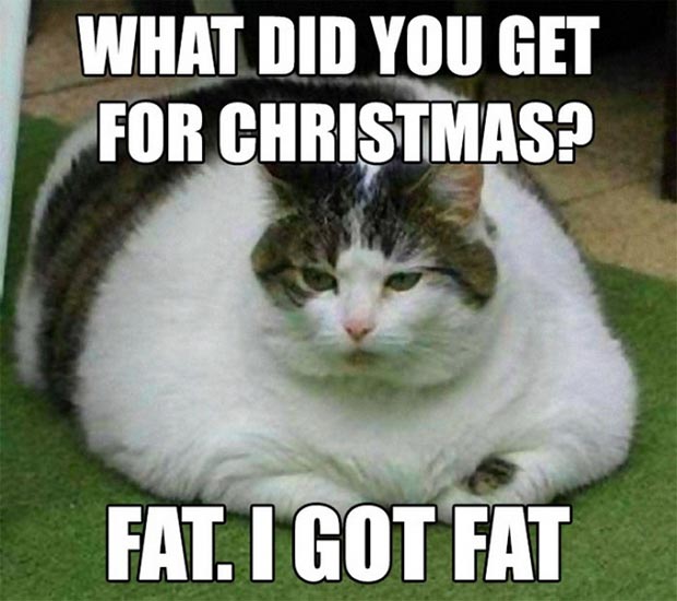 33 Funny Christmas Memes & Stuff | Team Jimmy Joe