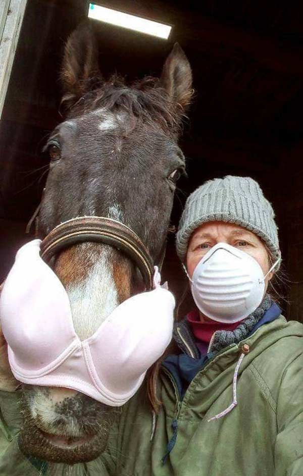 funny-pictures-cornoavirus-horse-mask-bra.jpg